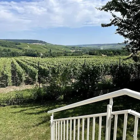 Maison Les Pieds Dans La Vallee * Châtillon-sur-Marne